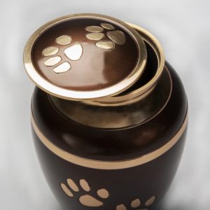 Devotion Series - Chestnut - Image 3