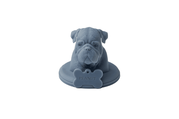 Life Like Sculpture - Bust