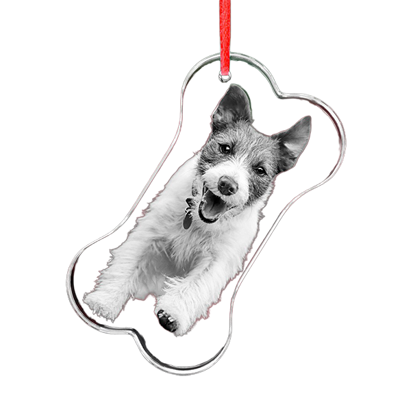 3D Crystal Ornament - Bone - Image 2